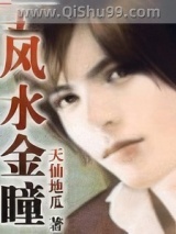 风水金瞳小说