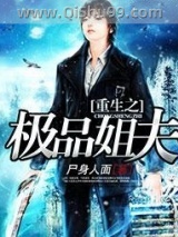 重生之极品姐夫小说