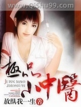 极品小中医小说