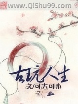 古玩人生小说