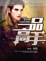 一品高手小说