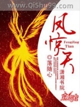 凤惊天小说