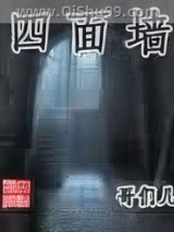四面墙小说