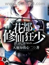 空姐的贴身高手小说