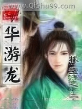 中华游龙小说