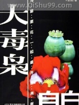 大毒枭自白小说