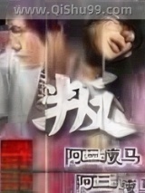叛小说