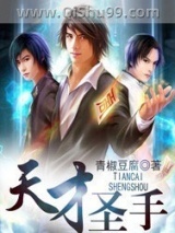 天才圣手小说