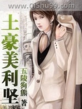 土豪美利坚小说