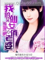 我的仙女俏老婆小说