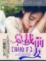 总裁前妻很抢手小说