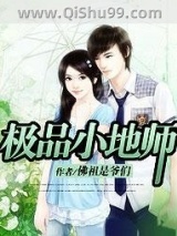 极品小地师小说