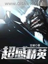 超感精英小说