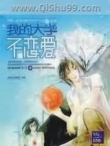 我的大学不恋爱小说