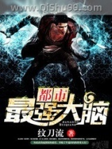 都市最强大脑小说