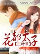 花都太子小说