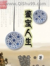 鉴宝人生小说