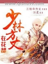 少林方丈在花都小说