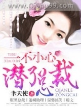 一不小心潜了总裁小说