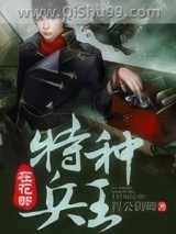 特种兵王在花都小说