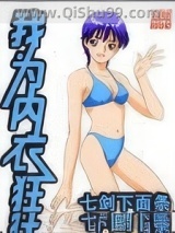 我为内衣狂小说