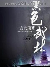 黑色武林小说