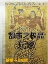 都市之极品玩家小说