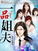 一品姐夫小说