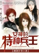 女神的特种兵王小说