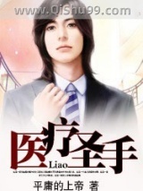 医疗圣手小说