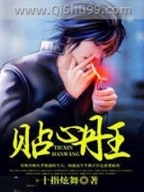 贴心丹王小说