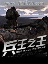 兵王之王小说
