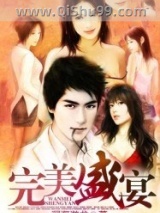 完美盛宴小说
