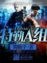 特勤A组小说