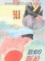 抢来的新娘小说