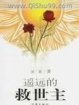 遥远的救世主小说