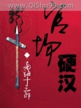 官场硬汉小说