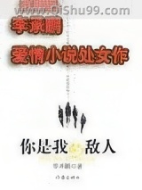 你是我的敌人小说