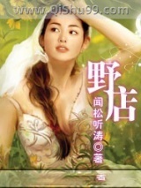 野店小说