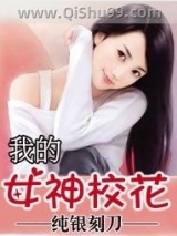 我的女神校花小说
