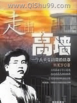 走出高墙小说