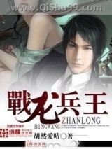 战龙兵王小说