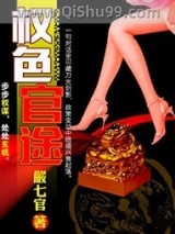 权色官途小说