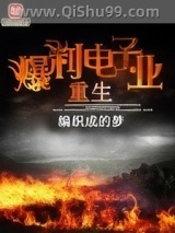 重生爆利电子业小说