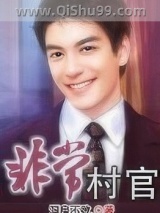 非常村官小说