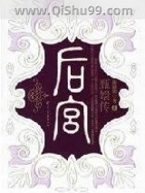 后宫－甄嬛传6小说