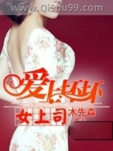 爱上坏坏女上司小说