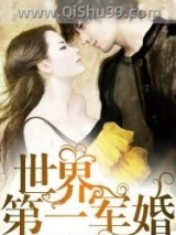世界第一军婚小说
