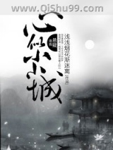 心似小小城小说