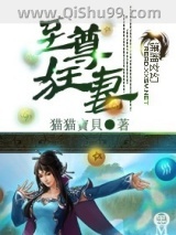 至尊狂妻小说
